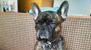 Карусель 2011 год.