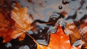 Пожелания доброго вечера видео бесплатно 🍂