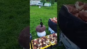 1000035111.mp4