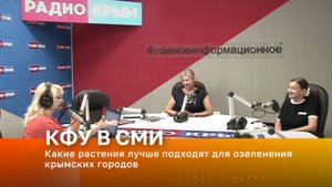 Какие растения лучше подходят для озеленения крымских городов