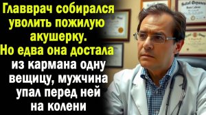 Главврач хотел уволить пожилую акушерку. Но когда увидел, что он достала из кармана - прослезился