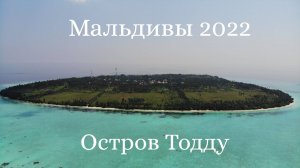 Мальдивы 2022. Изучаем остров Тодду. Часть 1.