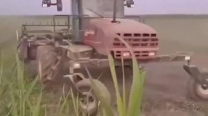 Могилизация не удалась_ Фронт за линией фронта...