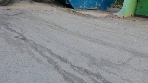 5.09.2025.Усадьба Парк Кино Ляхово. Парк Сибирских Кошек. Домодедово. Планы.Часть 2. Обзор проводимы