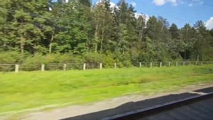 Из Санкт-Петербурга в Москву на поезде №773 Сапсан, Московский вокзал - Ленинградский вокзал