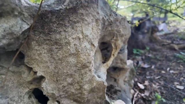 Заколдуем кольца на удачу? Ищем валуны в городе