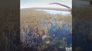 Суровые якутские караси на блесну