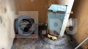 В Ленобласти новорожденную нашли брошенной в подъезде у мусоропровода