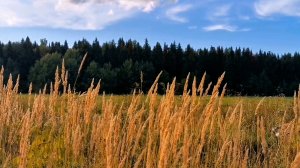 Лучшая музыка для сна, отдыха  и релаксации