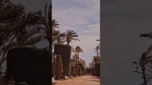 Любой рай. Гл 8 Что Денису рассказал Раджив-древний предок.Продолжение следует.