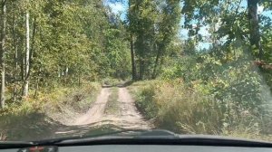 *🍁🍂🍃ОСЕНЬ ВЫСТЕЛИТ ЗОЛОТОМ*.На Малой Родине. Красивый лес 🌲. Много грибов. Просто лучшие дни .