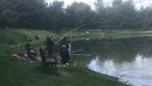 поимки на большом водоёме