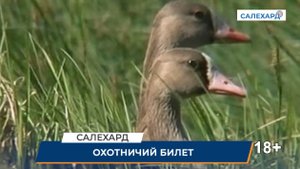 Новые правила для охотников