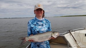 "Альпийская деревня". Астрахань. Здоровенный жерех! День второй. Третья часть.