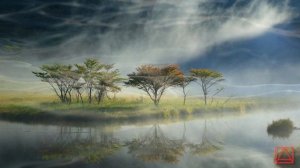 Св. Исаак Сирианин Подвижническия наставления ч.74