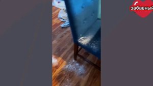 СУПЕР НАРЕЗКА ПРИКОЛОВ 2025 СМОТРЕТЬ ОНЛАЙН БЕСПЛАТНО