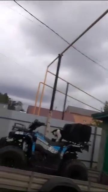 Отзыв на квадроцикл Sharmax Force 620 смотреть онлайн