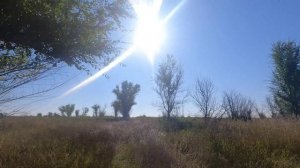 Дитя солнца. 😊