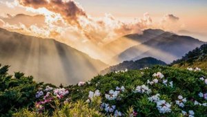 Я БЫЛ РАД, КАК УСЛЫШАЛ СЛОВА! Пастор Нурлан Бекмурзаев