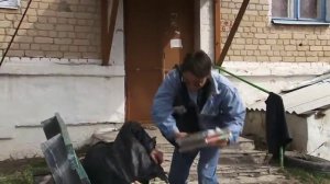 Один день из жизни почтальона.