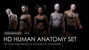 HD Human Anatomy Set для Character Creator 5 | 12 высокодетализированных персонажей