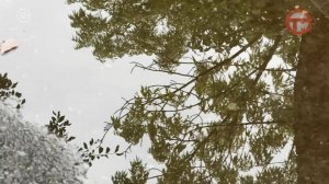 🌦 Синоптики рассказали о погоде в Приморье на выходные