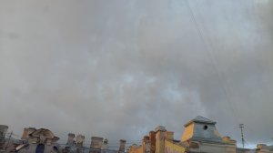 Ливень в Санкт-Петербурге.
