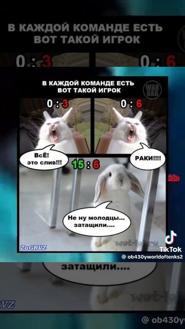 мемы