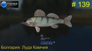 #139 Болгария: Луда Камчия. ч.4 Путь к серебру: в поисках крупного бёрша. Прохождение Fisher Online