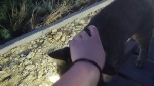 2024 велопрогулки на СантаБарбору