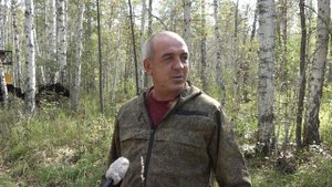 Лесные дороги. Сузунский район.