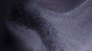 Повседневные вещи под микроскопом