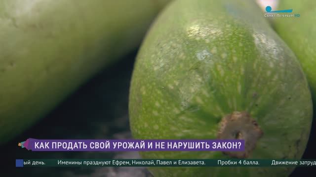 Как продать свой урожай и не нарушить закон?