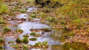 3 цвета сентября запускают перемены.