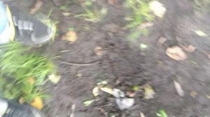 закапали лабубу секретку