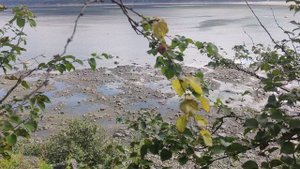 VID_20250826_074034.mp4