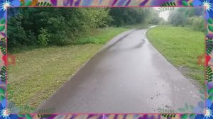 Наша деревенская дорога 2025 г.