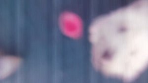 1000001561.mp4ш4щазвдсдчдвж