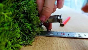 Процесс озеленения офиса Сбера