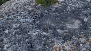 Бахчисарайский менгир. Выбрались посмотреть