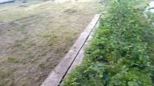 Чем засыпать участок не дорого , ямы неровности и от сорняков