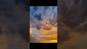 Крылья А.Зинченко муз.А.Зинченко сл.С.Калмыков