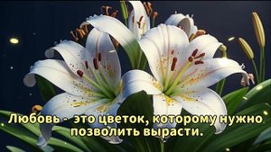 Для дорогих женщин.