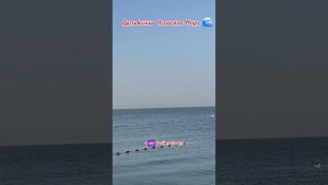🐬 ДЕЛЬФИНЫ АЗОВСКОЕ МОРЕ 🌊 2025 СТ ДОЛЖАНСКАЯ "КАЗАЧИЙ БЕРЕГ" ПЕРЕЕЗД НА КУБАНЬ,ПЕРЕЕЗД НА ЮГ