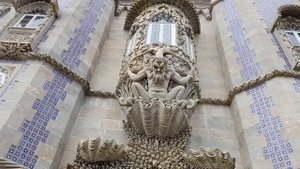 11279935-hd_1920_1080_30fps