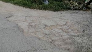 5.09.2025.Усадьба Парк Кино Ляхово. Парк Сибирских Кошек. Домодедово. Планы.Часть 1. Обзор проводимы