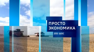 Просто экономика N255