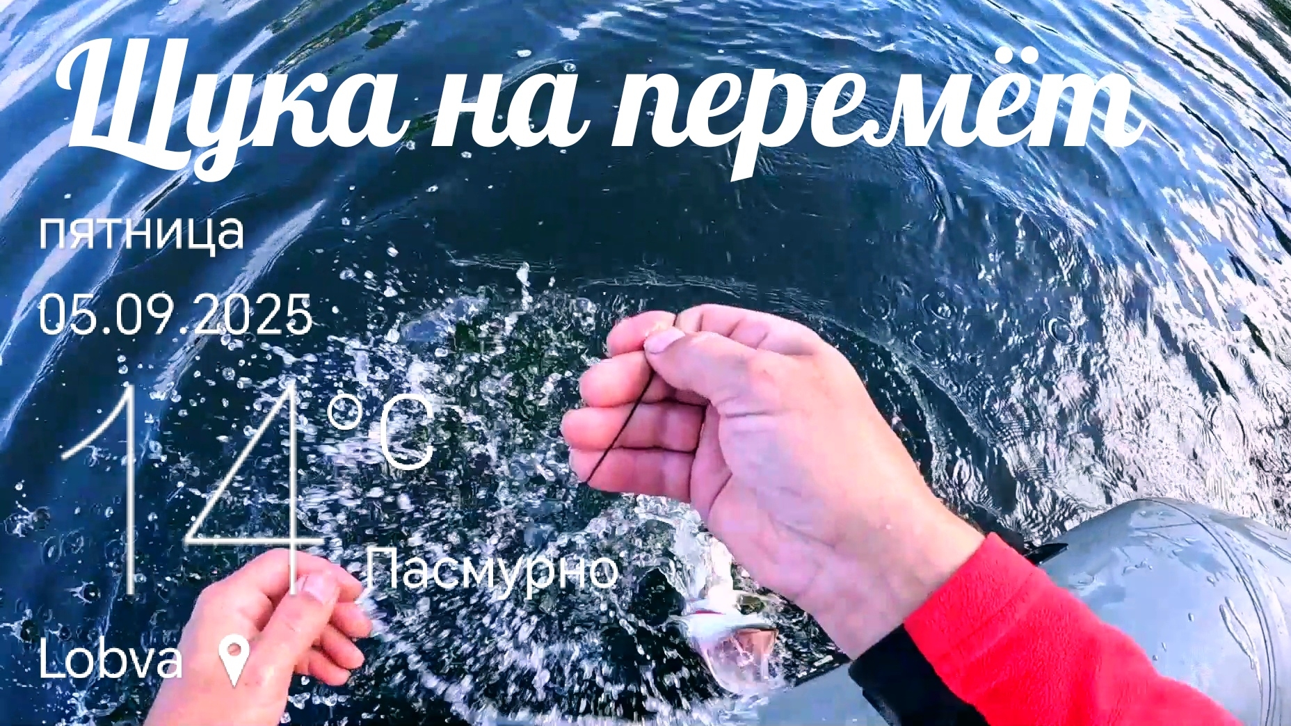 Проверка Перемёта.