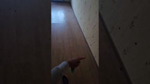 3кк в п.Переславское Калининградская область