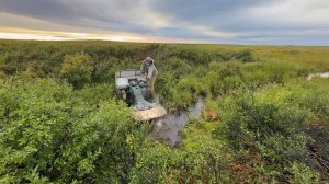 Пьём чай на БОЛОТЕ!